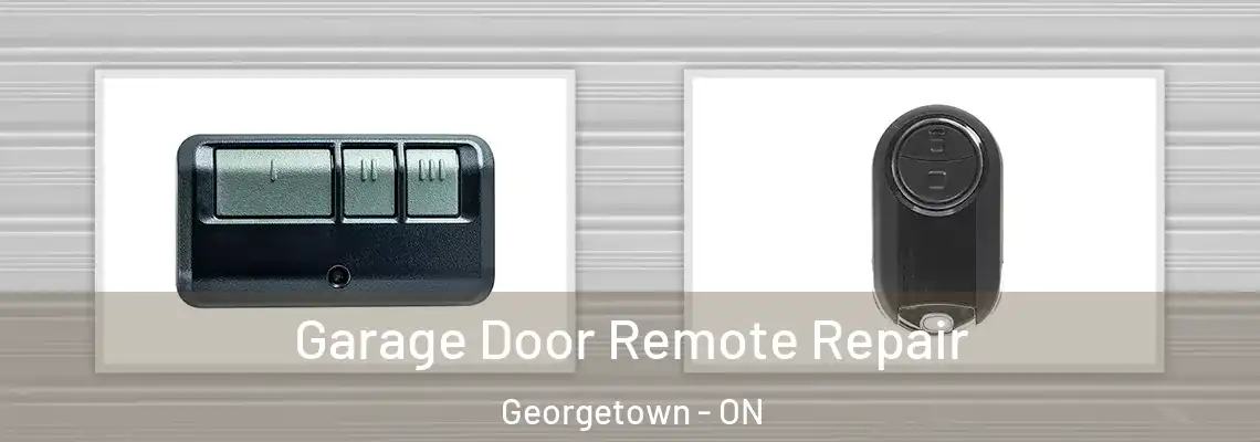 Garage Door Remote Repair Georgetown - ON
