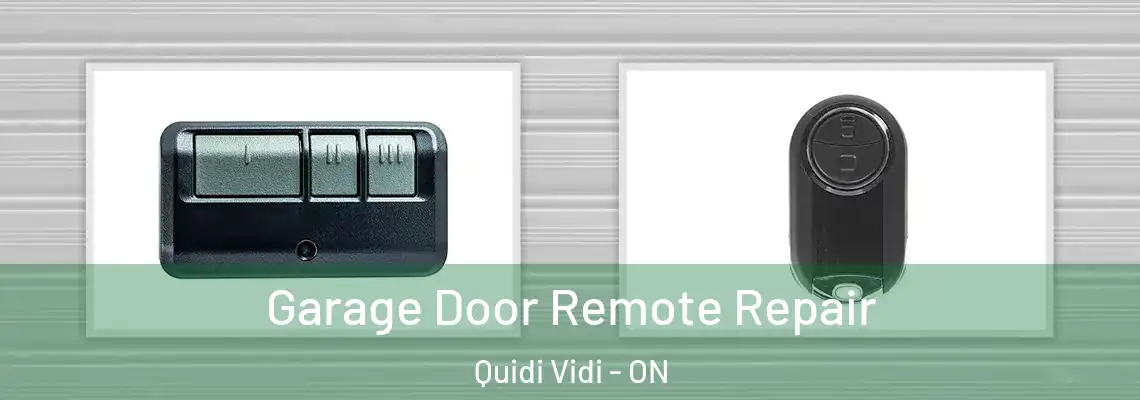 Garage Door Remote Repair Quidi Vidi - ON