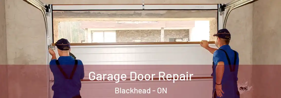 Garage Door Repair Blackhead - ON