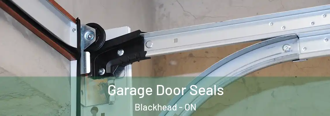 Garage Door Seals Blackhead - ON