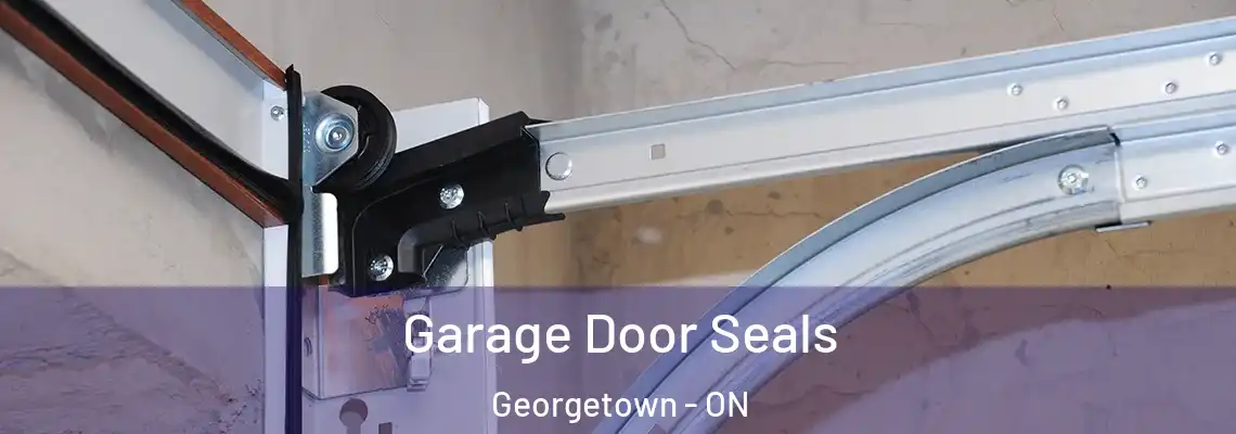Garage Door Seals Georgetown - ON