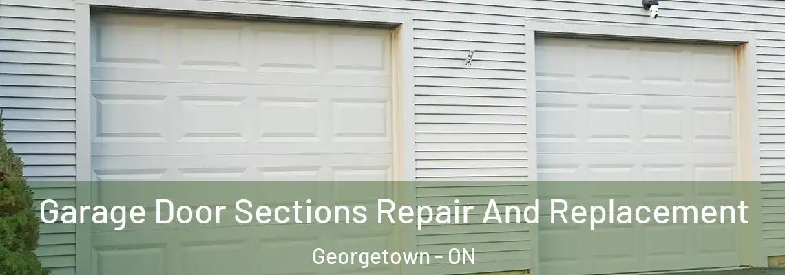 Garage Door Sections Repair And Replacement Georgetown - ON