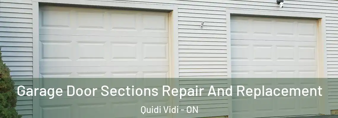 Garage Door Sections Repair And Replacement Quidi Vidi - ON
