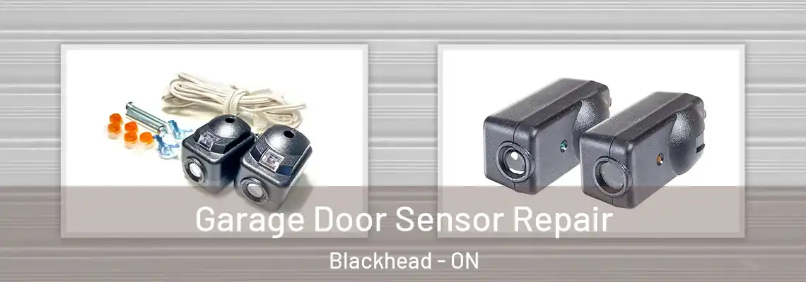 Garage Door Sensor Repair Blackhead - ON