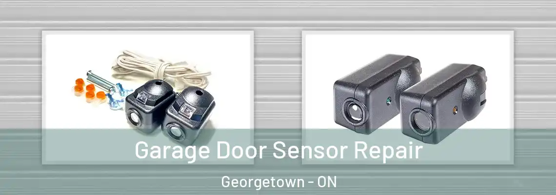 Garage Door Sensor Repair Georgetown - ON