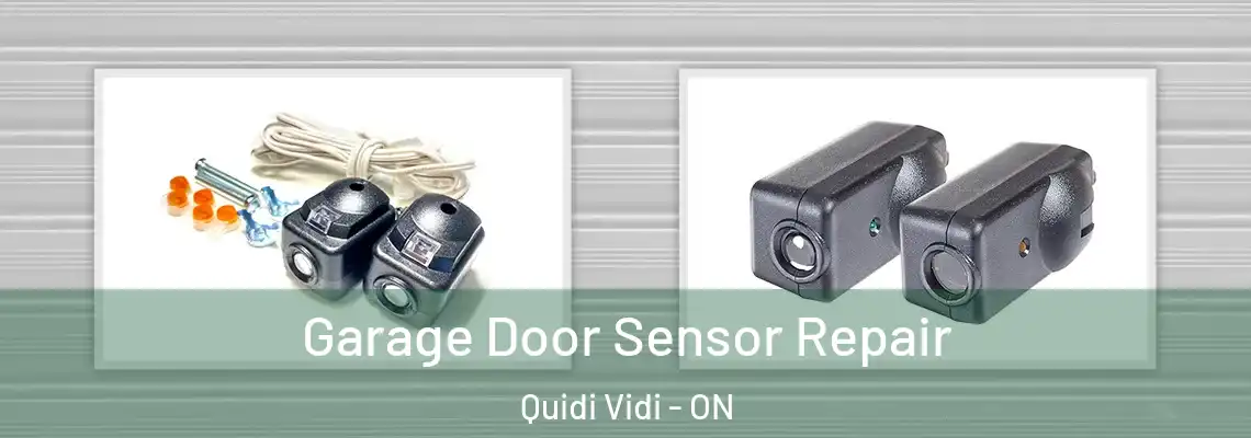 Garage Door Sensor Repair Quidi Vidi - ON