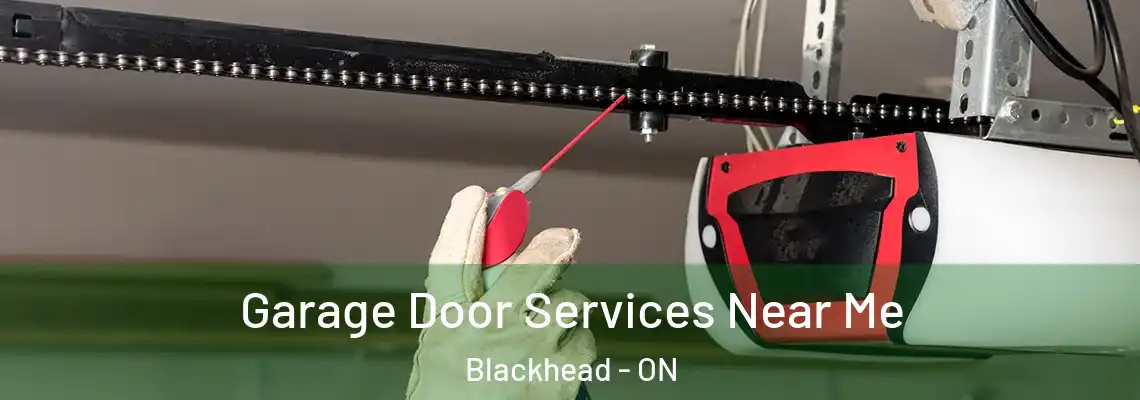 Garage Door Services Near Me Blackhead - ON