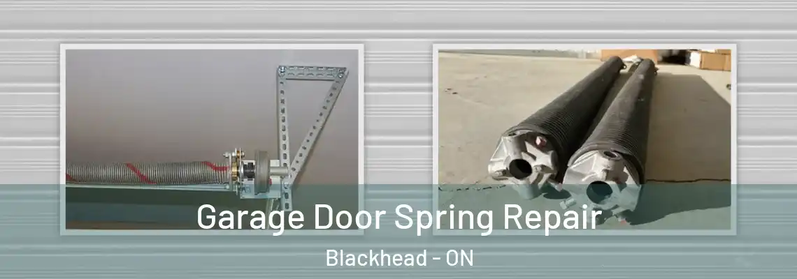 Garage Door Spring Repair Blackhead - ON