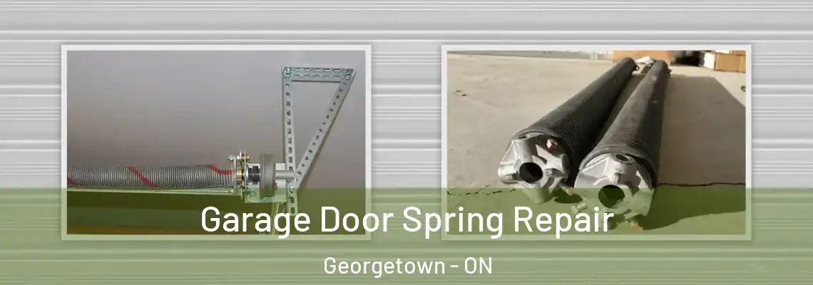 Garage Door Spring Repair Georgetown - ON