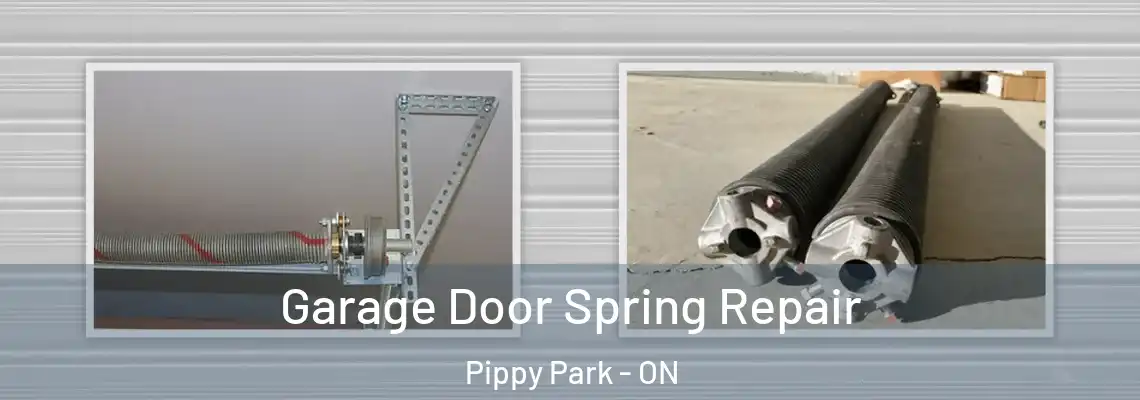 Garage Door Spring Repair Pippy Park - ON