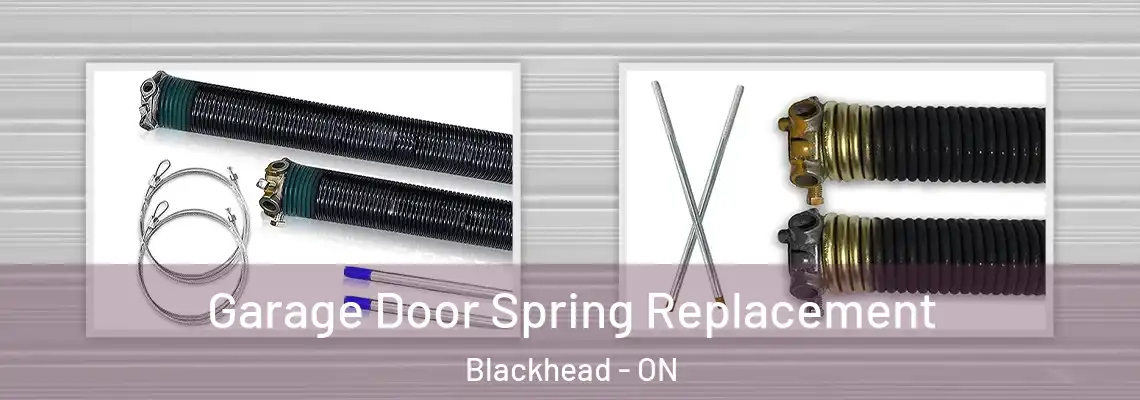 Garage Door Spring Replacement Blackhead - ON