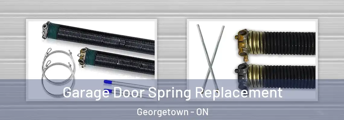 Garage Door Spring Replacement Georgetown - ON