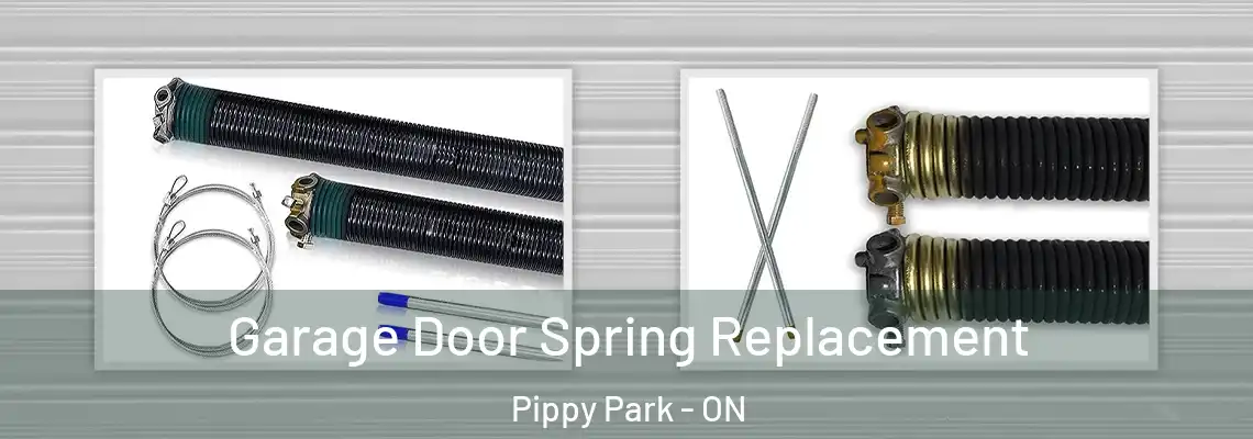 Garage Door Spring Replacement Pippy Park - ON
