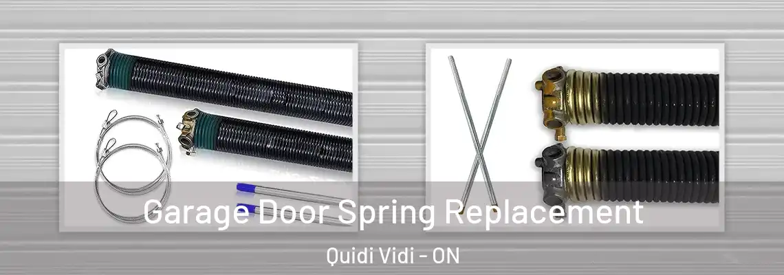 Garage Door Spring Replacement Quidi Vidi - ON