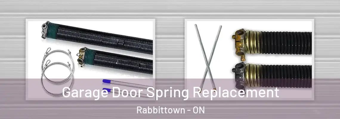 Garage Door Spring Replacement Rabbittown - ON