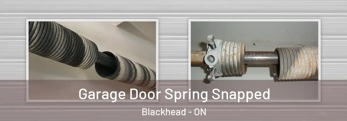 Garage Door Spring Snapped Blackhead - ON