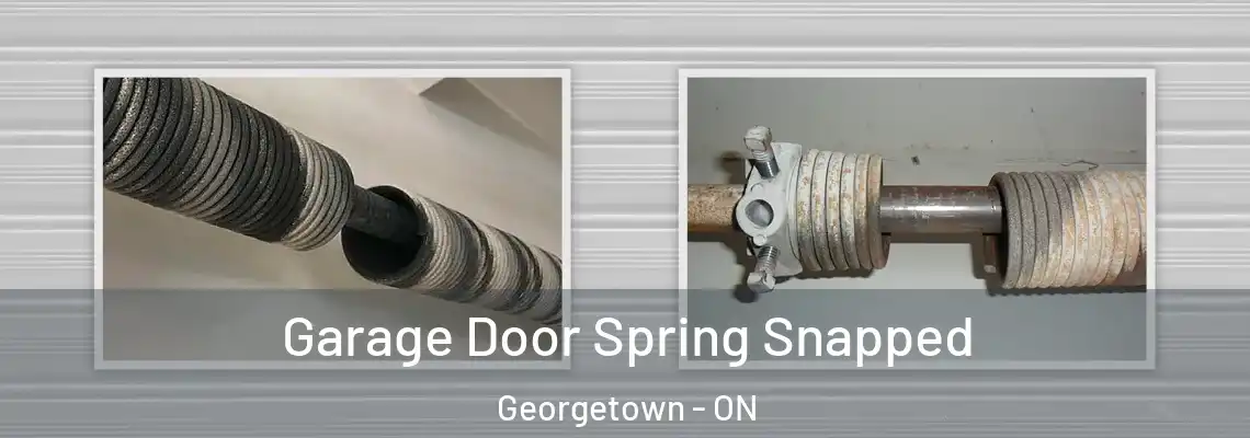Garage Door Spring Snapped Georgetown - ON