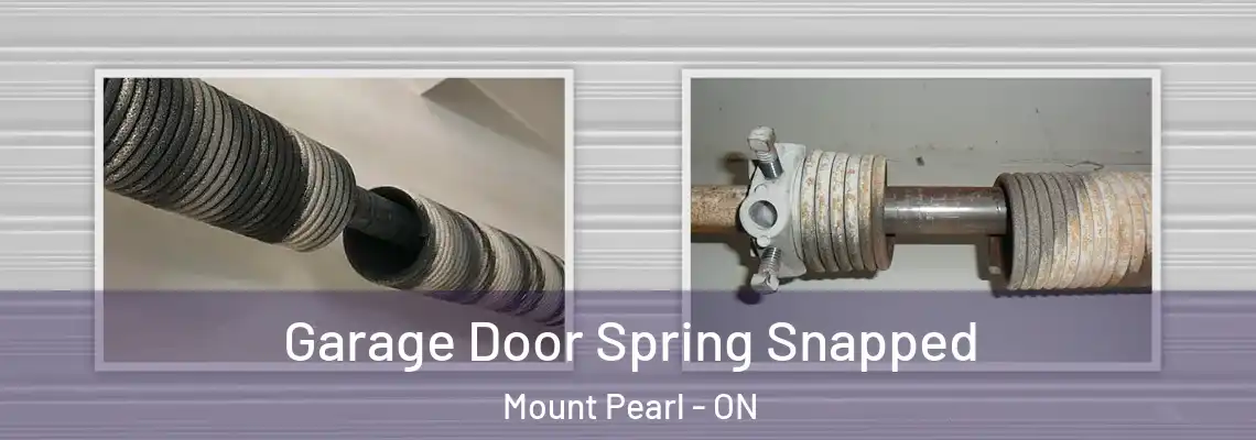Garage Door Spring Snapped Mount Pearl - ON