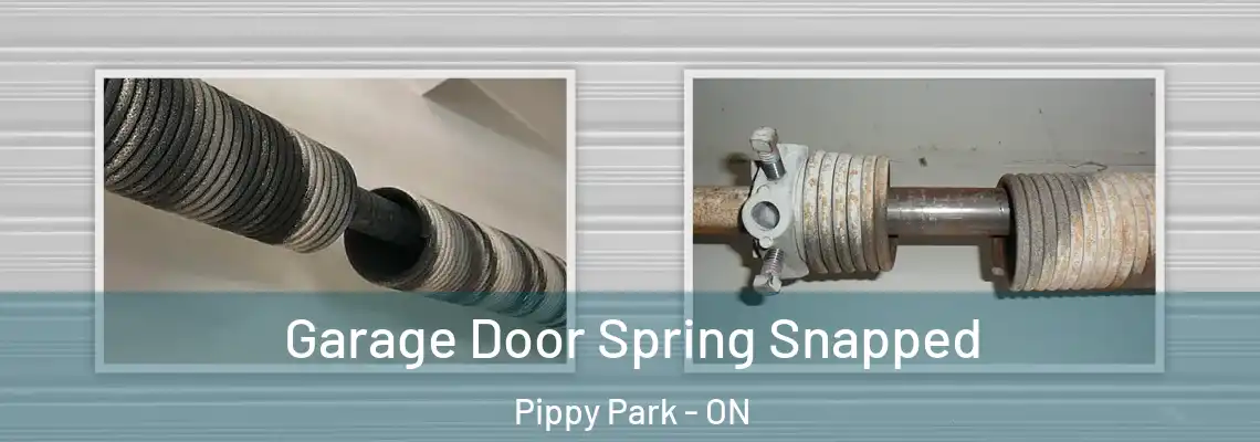 Garage Door Spring Snapped Pippy Park - ON