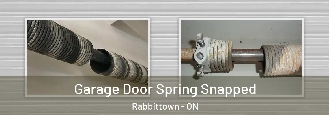 Garage Door Spring Snapped Rabbittown - ON