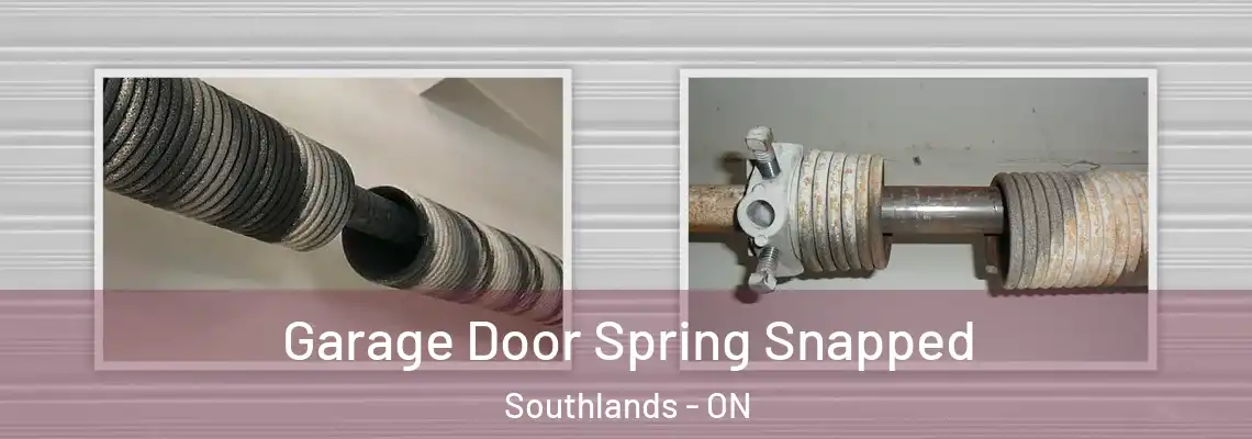 Garage Door Spring Snapped Southlands - ON