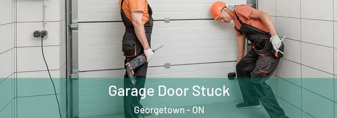 Garage Door Stuck Georgetown - ON