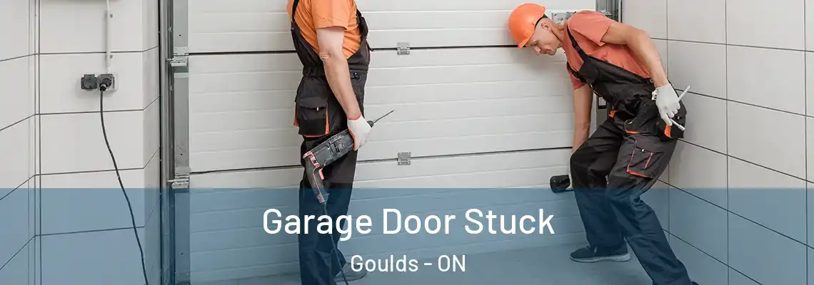 Garage Door Stuck Goulds - ON