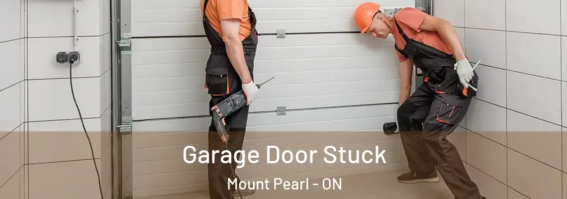 Garage Door Stuck Mount Pearl - ON
