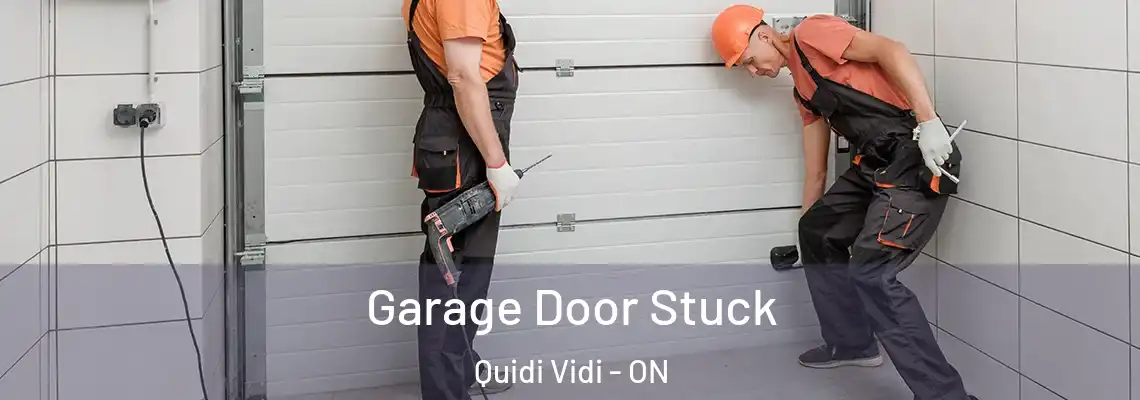 Garage Door Stuck Quidi Vidi - ON