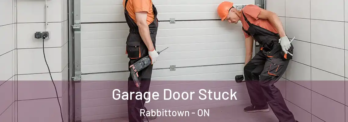 Garage Door Stuck Rabbittown - ON