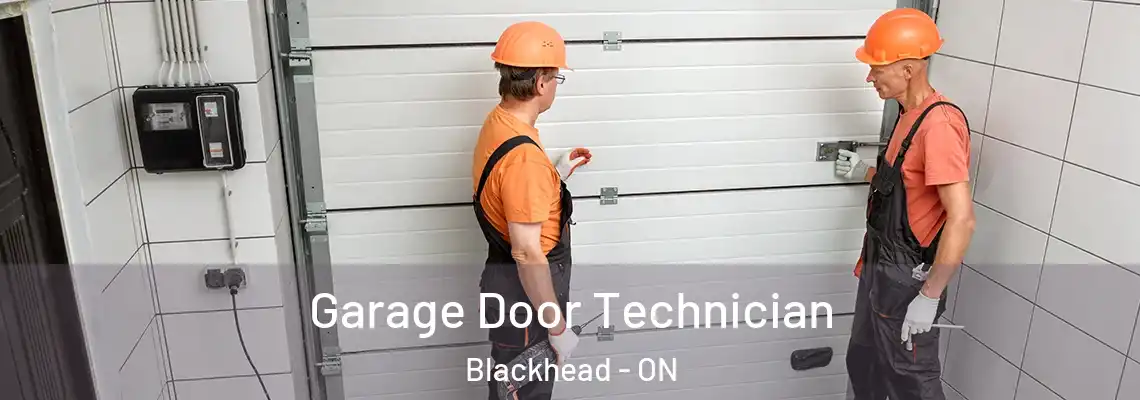 Garage Door Technician Blackhead - ON