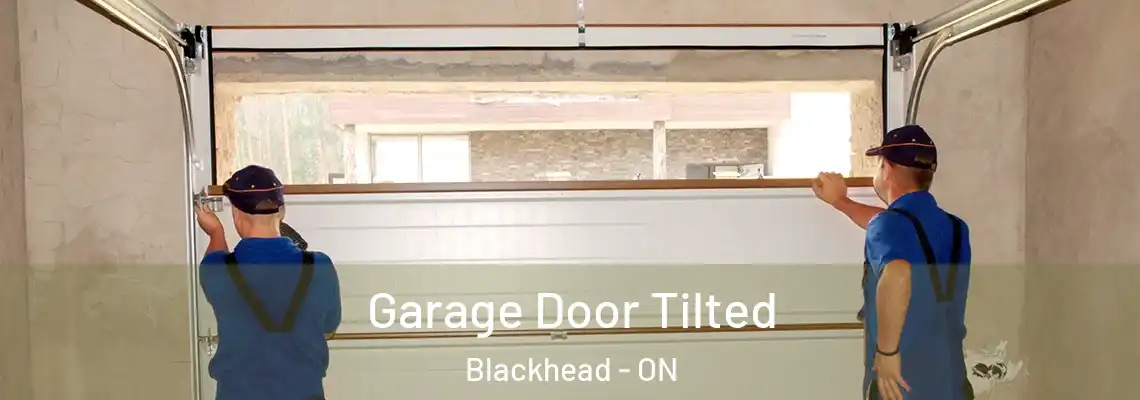 Garage Door Tilted Blackhead - ON