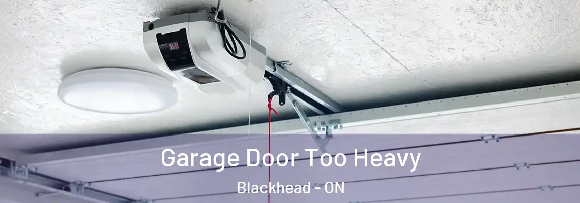 Garage Door Too Heavy Blackhead - ON