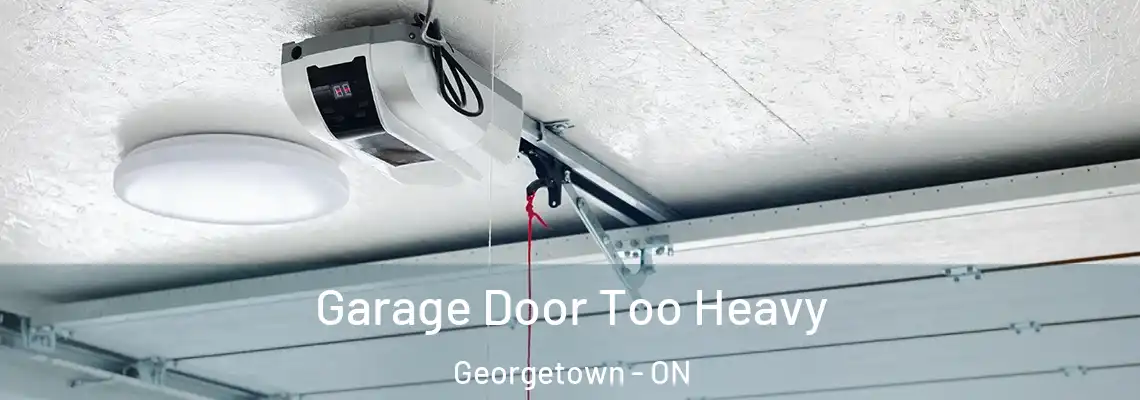 Garage Door Too Heavy Georgetown - ON