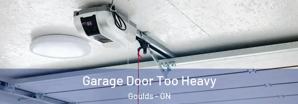 Garage Door Too Heavy Goulds - ON