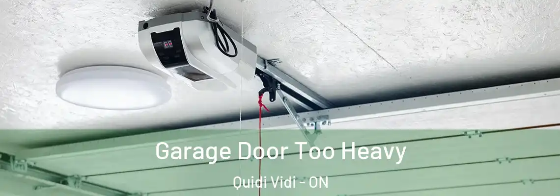 Garage Door Too Heavy Quidi Vidi - ON