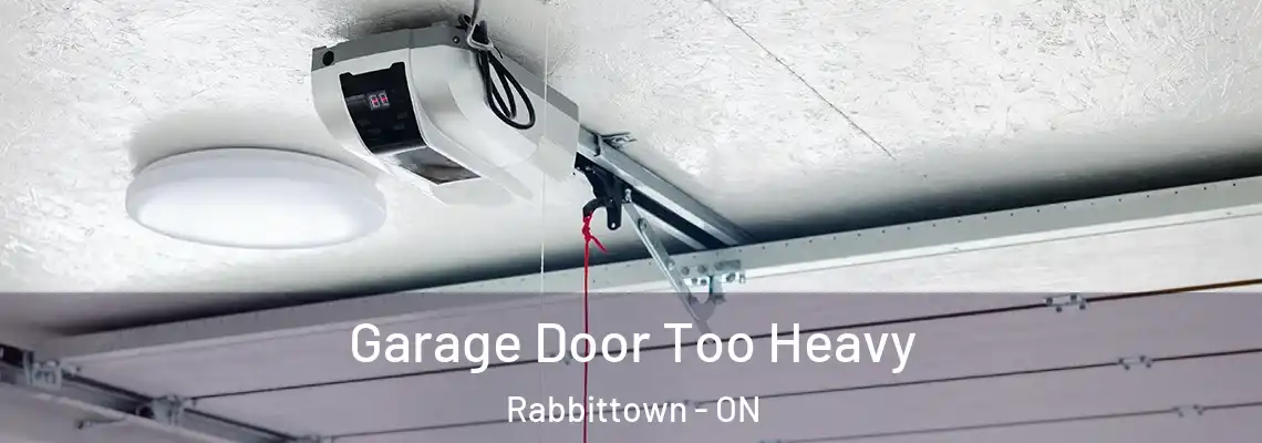 Garage Door Too Heavy Rabbittown - ON