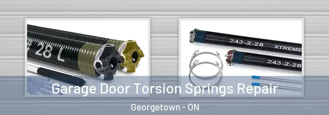 Garage Door Torsion Springs Repair Georgetown - ON