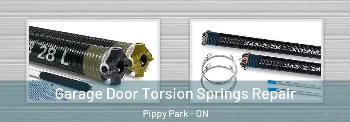 Garage Door Torsion Springs Repair Pippy Park - ON