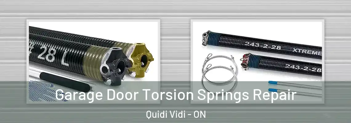 Garage Door Torsion Springs Repair Quidi Vidi - ON