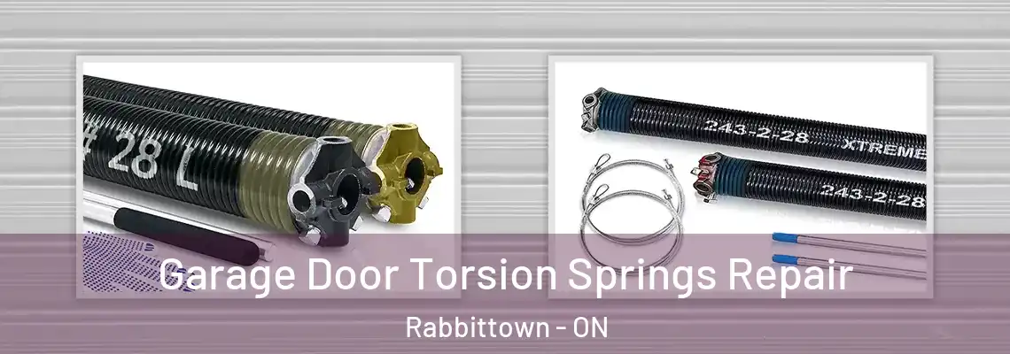 Garage Door Torsion Springs Repair Rabbittown - ON