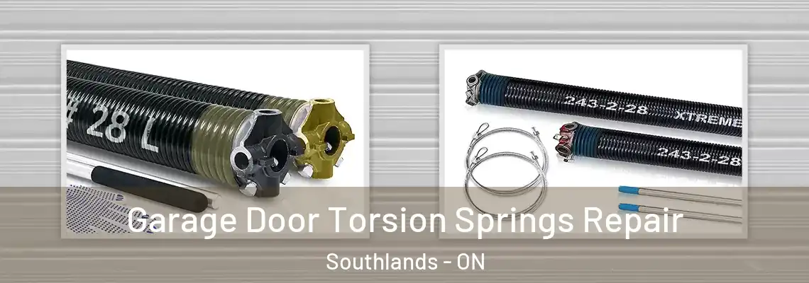 Garage Door Torsion Springs Repair Southlands - ON