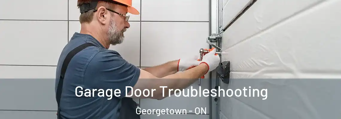 Garage Door Troubleshooting Georgetown - ON