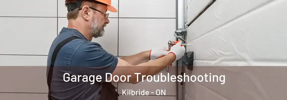 Garage Door Troubleshooting Kilbride - ON
