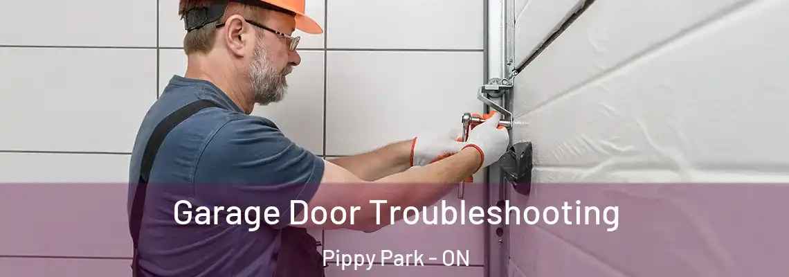 Garage Door Troubleshooting Pippy Park - ON
