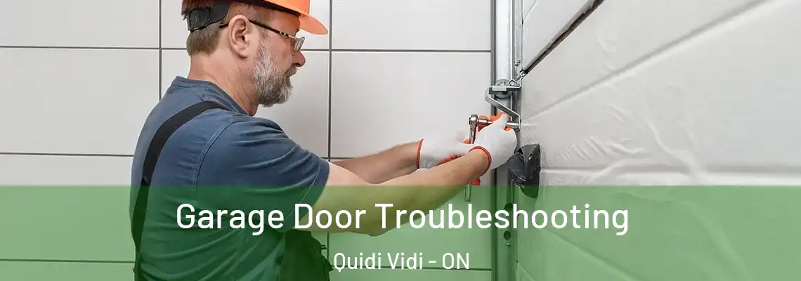 Garage Door Troubleshooting Quidi Vidi - ON
