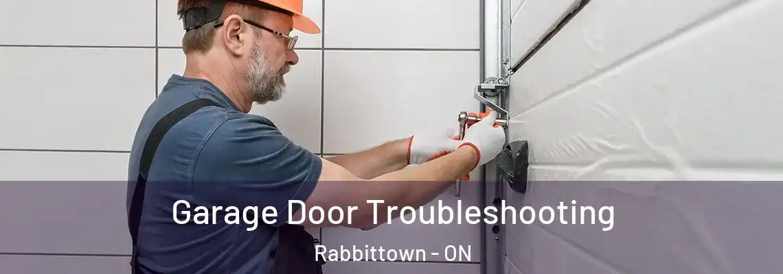 Garage Door Troubleshooting Rabbittown - ON