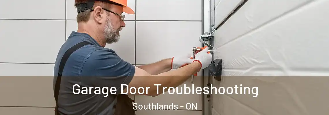 Garage Door Troubleshooting Southlands - ON