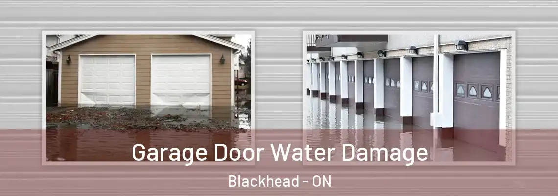 Garage Door Water Damage Blackhead - ON