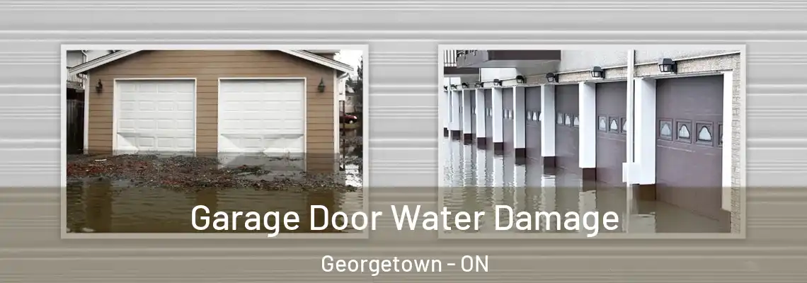 Garage Door Water Damage Georgetown - ON